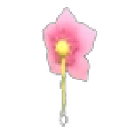 Cherry Blossom Earring  - Uncommon from Spring Fest 2023